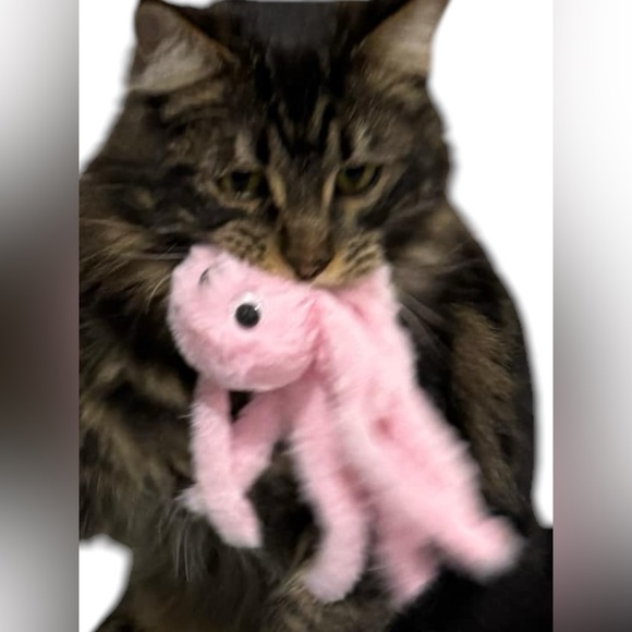 Meet your Posher, Shelley - Picture 6 of 6